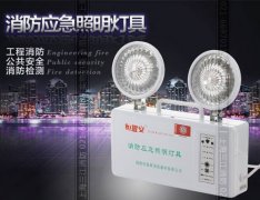 消防應(yīng)急照明和疏散指示系統(tǒng)的聯(lián)動(dòng)控制設(shè)計(jì)